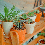 Ces plantes d’intérieur survivent même quand on oublie de les arroser