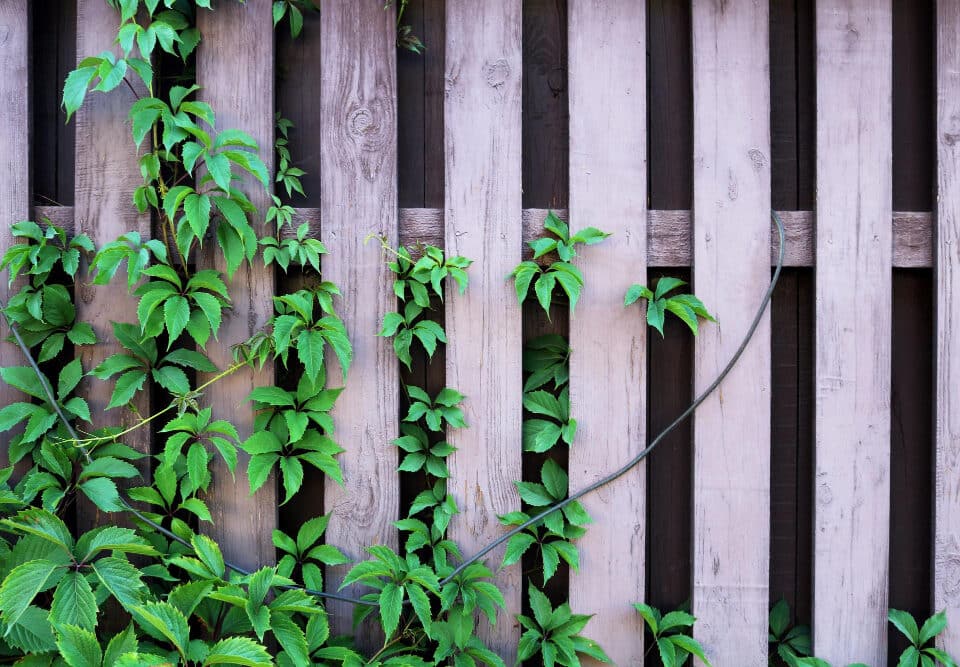 Quelques idées d'aménagement de jardin faciles à réaliser soi-même