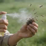 Personne vaporisant un melange naturel sur des fourmis volantes