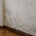 Papier peint applique sur mur presentant taches humidite et condensation